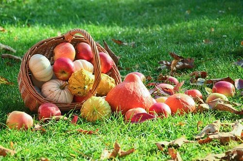 Herbstgeschenke, die aus einem Korb im Garten verstreut lagen