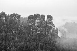 Nebel bei den Gansfelsen in der Sächsischen Schweiz 2