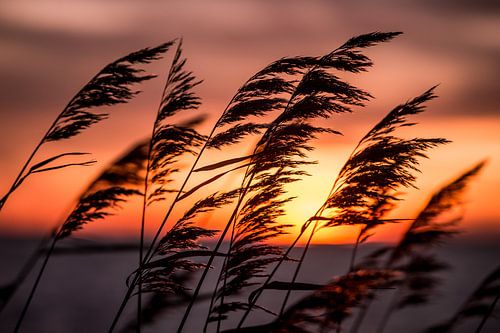 Warme zonsondergang op een winterse dag