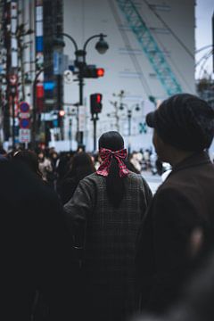 Tokyo: Het Kloppend hart van Japan van Ken Tempelers