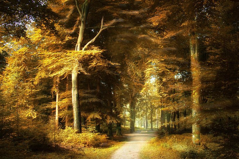 Golden brown. by Elly Besselink