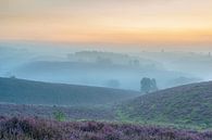 Before sunrise by Jan Koppelaar thumbnail