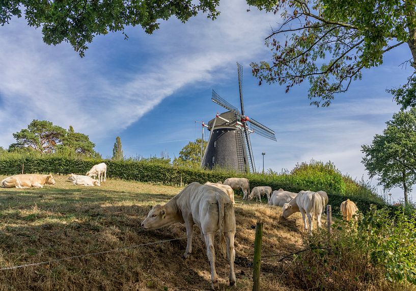 Molen Vrouwenheide van John Kreukniet