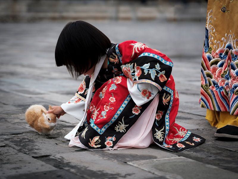 Verbotene Stadt, Peking von Eddy Westdijk