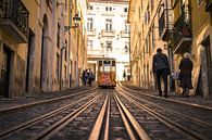 Scenic tram in Lisbon by Niels Eric Fotografie thumbnail