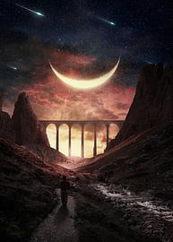 Smile! by Alexander Tropmann