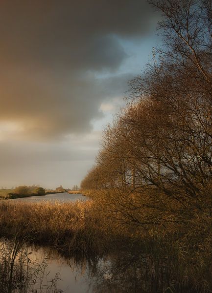 Evening glow by Monique van Velzen