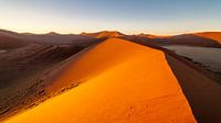 Zandduinen van Namibie van Peter Vruggink thumbnail