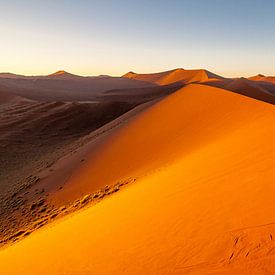 Dunes de sable de Namibie sur Peter Vruggink