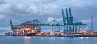 Drukke containerterminal Haven van Antwerpen van Tony Vingerhoets thumbnail