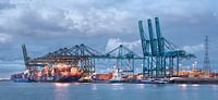Drukke containerterminal Haven van Antwerpen