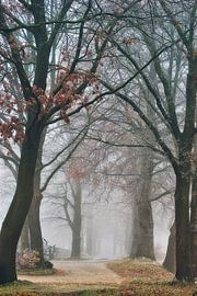 Winterland by Ellen Borggreve