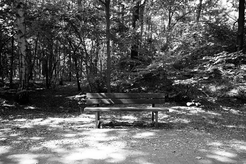 Ontdek de natuur in een bosrijk gebied in Emsland, Nedersaksen, Duitsland van Bianca Meyering Fotos - BMF