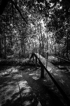 Concrete pedestrian bridge by Ger Doornbos