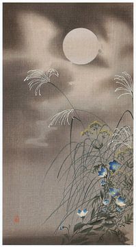 hara Koson - Fleur d'automne avec lune (édité) sur Peter Balan