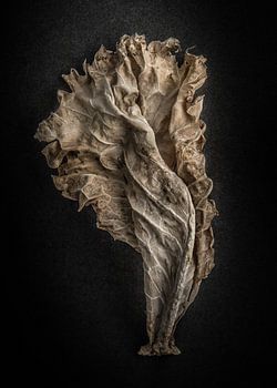 Bladeren nr. 12 Kleurenversie