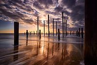 Palendorp Petten