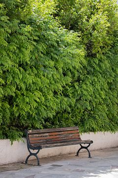 bench against green bush by Lieve Sluijsmans
