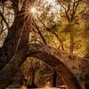 Tzelefos Bridge, Venetian bridge in Cyprus in autumn by Melissa Peltenburg