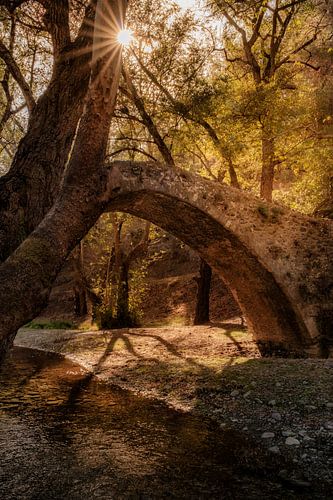 Tzelefos Bridge, Venetiaanse brug op Cyprus in de herfst