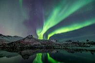 Northern Lights over a fjord in the Lofoten Islands in Norway by Sjoerd van der Wal Photography thumbnail