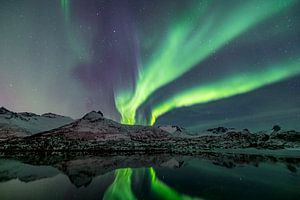 Nordlichter über einem Fjord auf den Lofoten in Norwegen