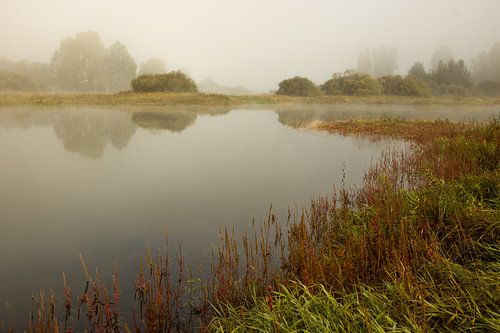 Misty morning in Slovenia