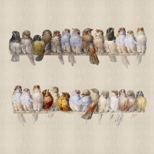 Een Vogelbok, Hector Giacomelli (vierkant)