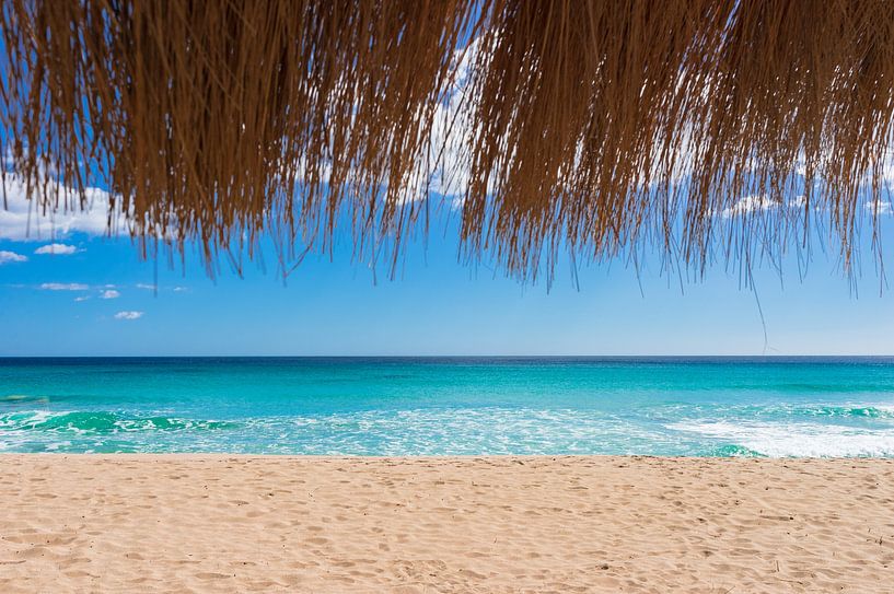 Beautiful sand beach with turquoise sea water, sun, blue sky and straw umbrella by Alex Winter