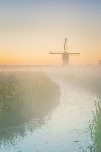 Nederlands polderlandschap met molens