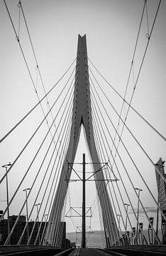 Erasmusbrug van SVFotografie