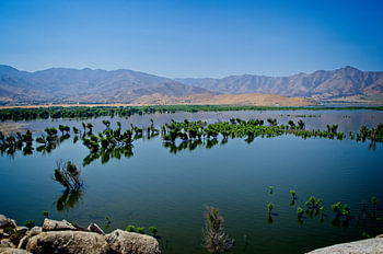 lac Isabella