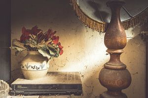 Blumentopf in einem eingestürzten Bauernhaus