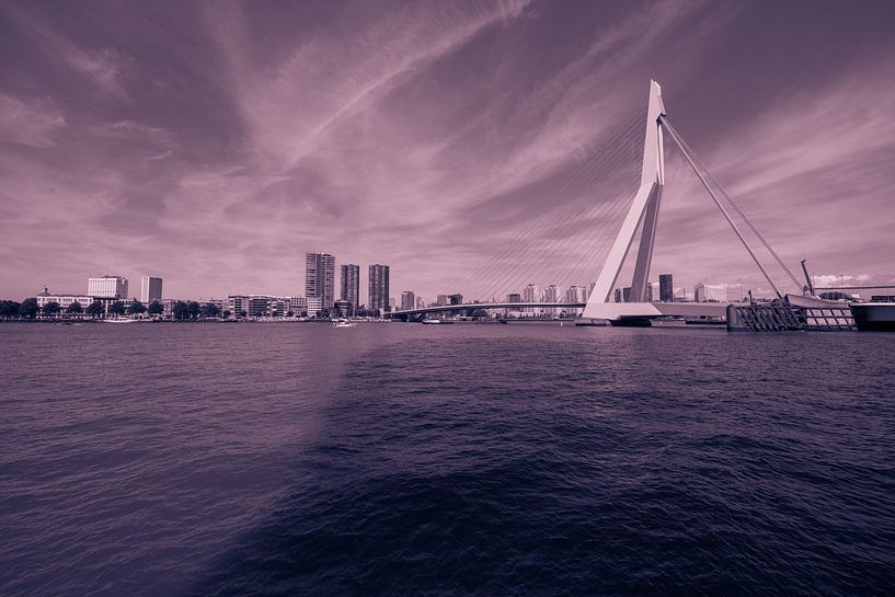 ErasmusBrug rotterdam by Brian Morgan