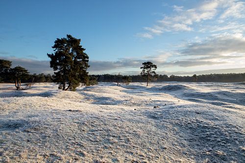 Winter op landgoed Heidestein Bornia in Driebergen Zeist