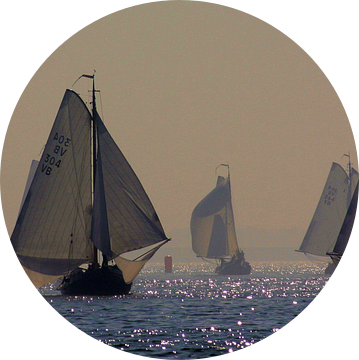 Tegenlicht op Lemsteraken