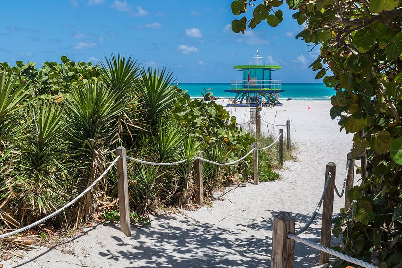 Miami Beach, tropical paradise by Peter Leenen