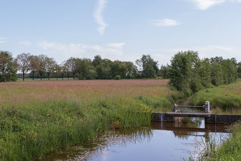 Groningen und Drenthe Veenkoloniën von Johan Mooibroek