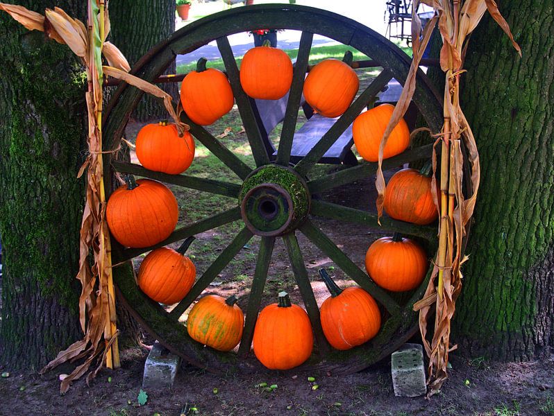 Roue de la citrouille par Edgar Schermaul
