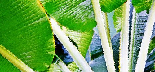 verse groene bananenbladeren