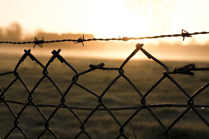 Zaun in der Morgensonne von Niek Traas