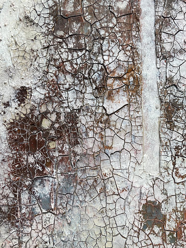 Fragment 8