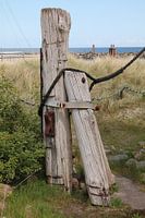 Weather-beaten guardians of the coast