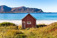 The Red Cabin
