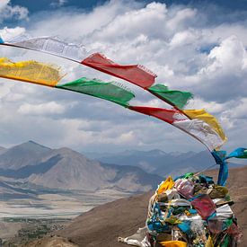 Schedel van een jak op een bergtop in de Himalaya, Tibet van Rietje Bulthuis