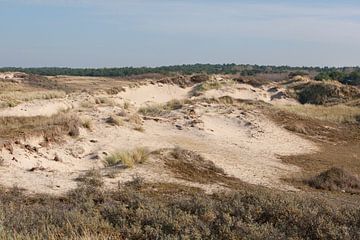 Overzicht van de Zandduinen bij de Noordzee, Nederland van Frans Rombout