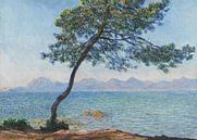 Antibes, Claude Monet par Des maîtres magistraux Aperçu