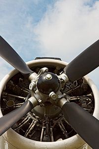 Altes Propellerflugzeug AN-2