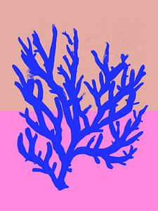 Bleu corail No 02