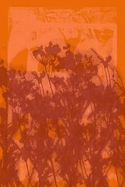 Lebendige abstrakte minimalistische botanische Kunst in Orange und Terrakotta von Dina Dankers